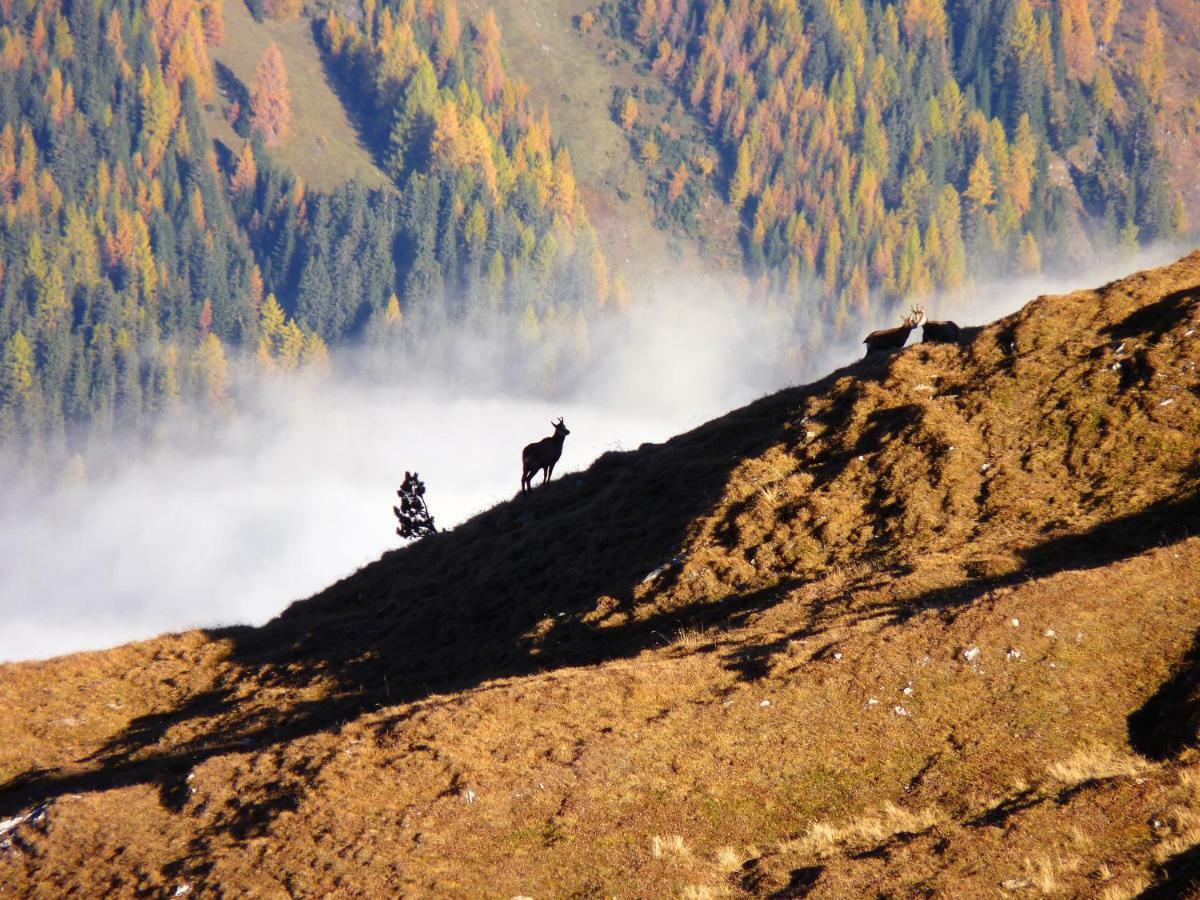 Apart Alpenflair Nauders Zewnętrze zdjęcie